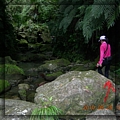 8-25 am 10-22-29-麻荖漏步道.JPG